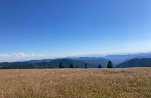 Feldberg Apartment - direkt an der Skipiste - mit Sauna - Foto 18