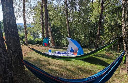 Widokówka Zacisze - Foto 17