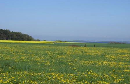 Aalkoje Ostseebad Wustrow - Foto 8