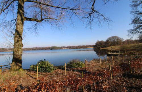Waters Edge, Talkin Tarn, a luxurious bungalow with stunning views over the tarn - Foto 38