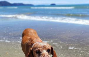 Zen Apartments - Photo 51