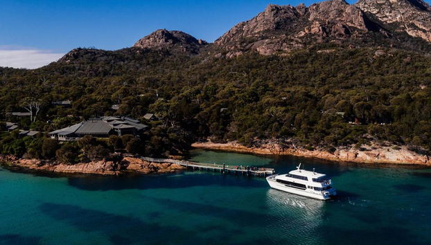 Wineglass Bay Cruise - From Hobart - Photo 5