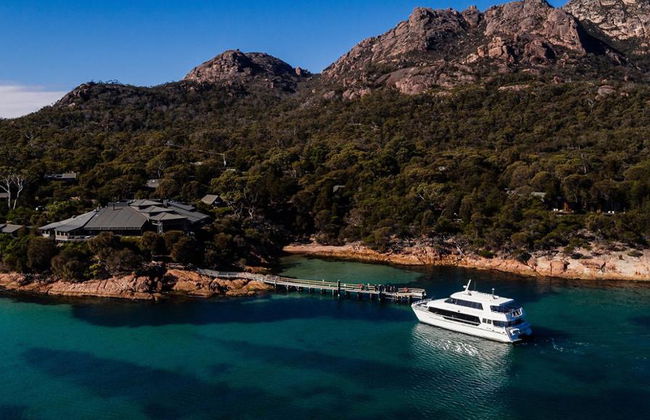 Wineglass Bay Cruise - From Hobart - Photo 5
