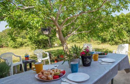 RENATOEMILIA spacious apartment with courtyard - Photo 8