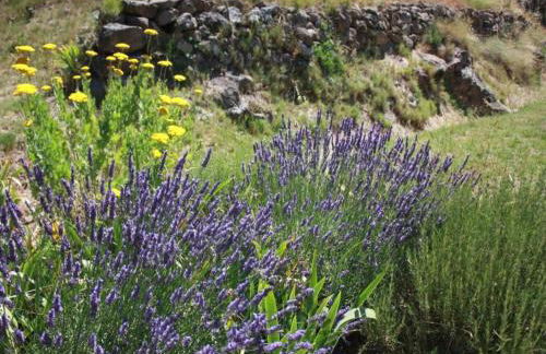 Modern Comfort in Minervois - Foto 73