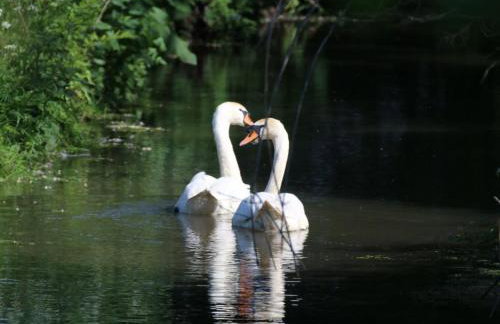 1 Bed in Beccles oc-90132 - Photo 22