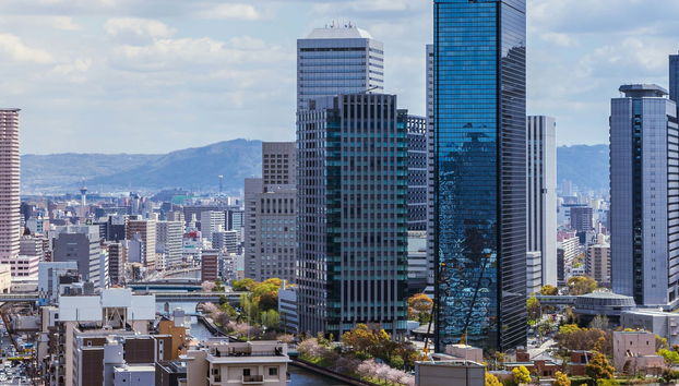 Osaka Free Tour - Photo 4