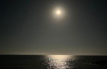 Pis la rapita - Foto 15