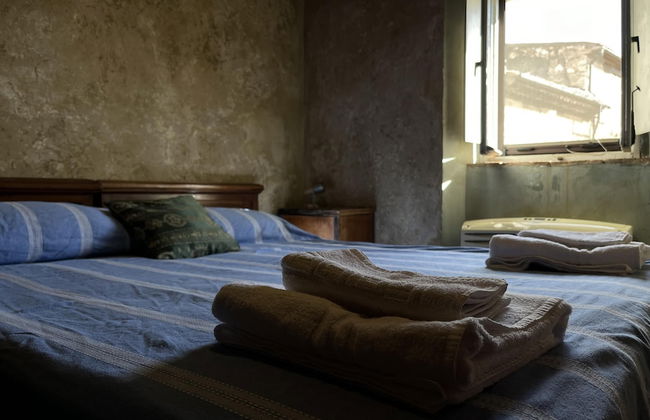 Preta Nera Van Gogh in Giuliano di Roma - Foto 2