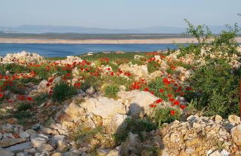 Apartment Tušek - Foto 75