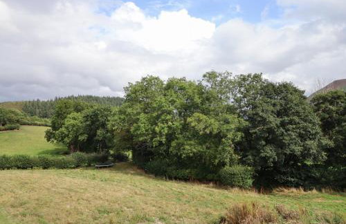 Tyn Y Ceubren Bach at Evelyns Retreat - Foto 43