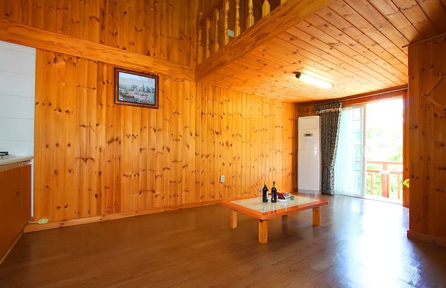 Baenae-gol Alpensia Pension - Foto 22