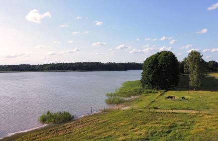 Sasek Mały # Pensjonat # Jazdy Konne - Foto 18