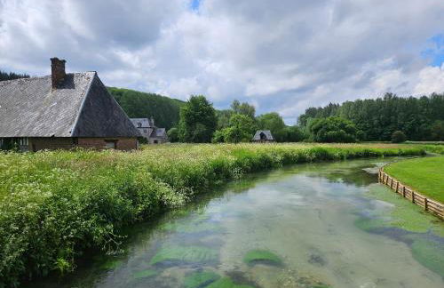 Coqslitscaux - Foto 59