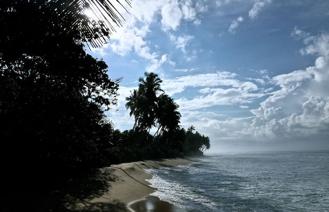 SATIN DOLL - Foto 53