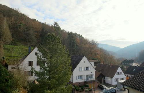 Ferienwohnung/Monteurwohnung Meiser - Foto 38