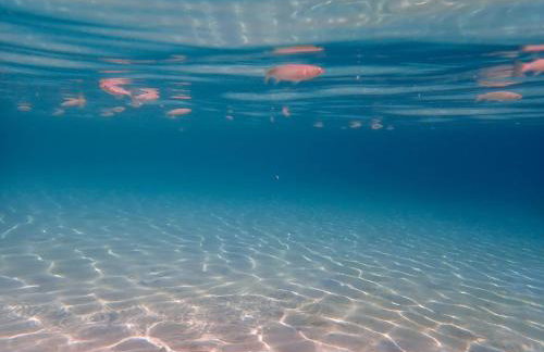 Beachfront house Thalassography - Foto 38