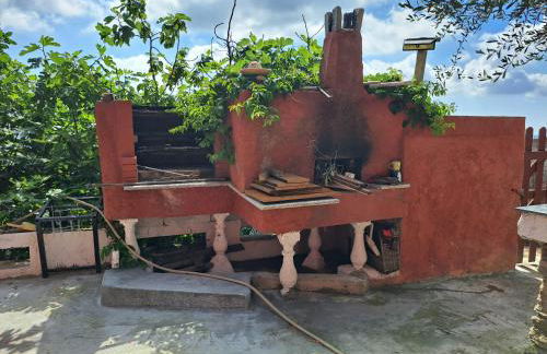 Appartements Luccisano - Foto 31