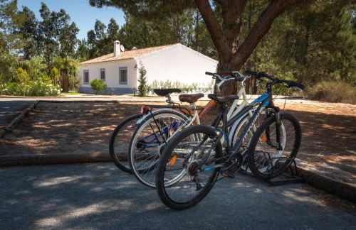 Casas da Horta - Photo 21