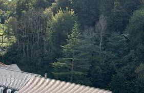 ALINE GRAND HOTEL - Foto 31