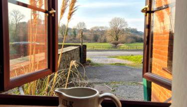 Tregib Mill Cottage - Foto 4