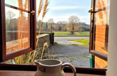 Tregib Mill Cottage - Photo 4