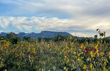Valencia Apartamento Sol de Naranja - Foto 44