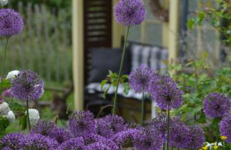 Märchenherberge 7 Zwerge - Foto 8