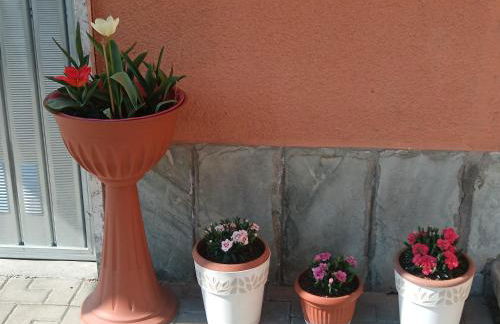 Le Magnolie - Foto 52