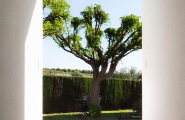 HOUSE IN PRIVATE URBANIZATION - Photo 20