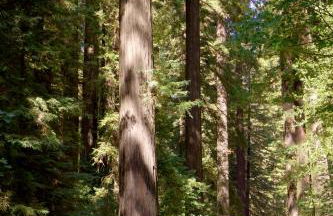 Amazing Oceanview 2 bedroom Oceanfront! by OceanviewHotTubs Shelter Cove, CA Tesla EV Station - Foto 56