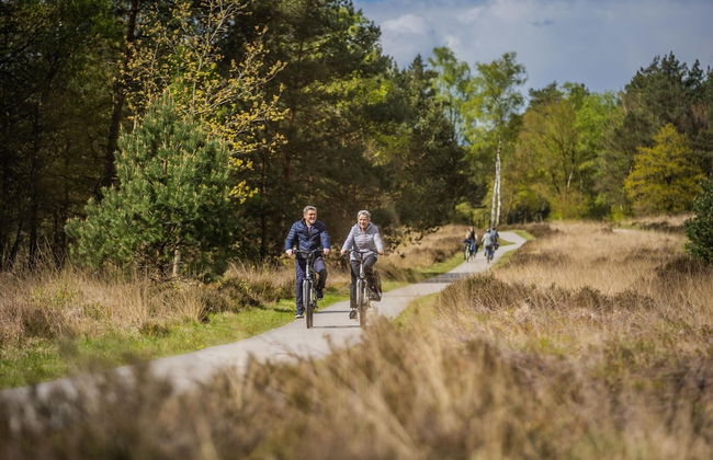 Modern Holiday Home With Decorative Fireplace - Foto 15