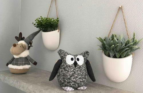 Au Coeur de Colmar - Foto 9