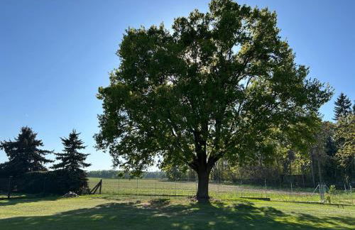 Ferienhaus Naturblick - Foto 26