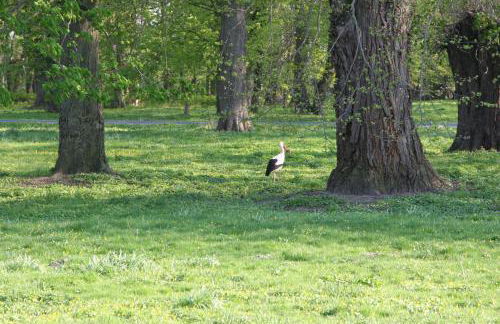 Apartment im Kranich Hotel - Foto 20