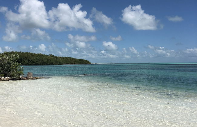 Shaka Caye - Photo 35