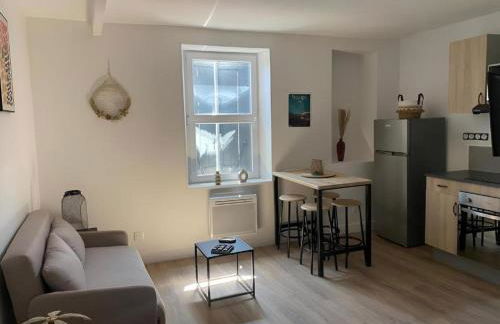 Charmant T2 cosy à Mazamet - Photo 1