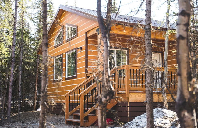 Denali Wild Stay - Foto 74