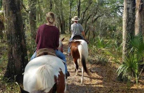 The Little Barn you are looking for! - Photo 35