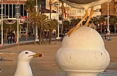 BENI'LOVE en PLAYA VUE MER PANORAMIQUE - Foto 61