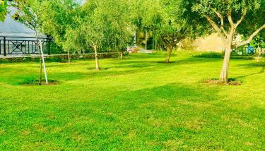 Villa Katerina - Photo 4, Garden, Garden view