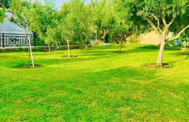 Villa Katerina - Photo 4