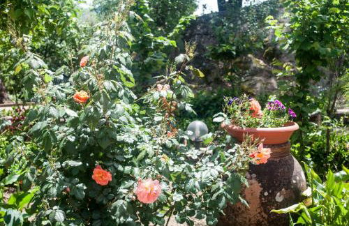 Agriturismo Fattoria di Grenne - Foto 15