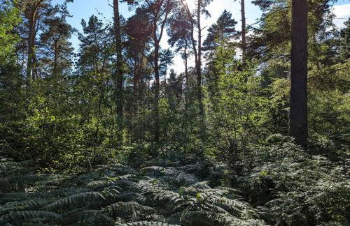 Acorn Lodge Luxury Retreat In a Stunning Oasis With Hot Tub - Pass the Keys - Foto 70