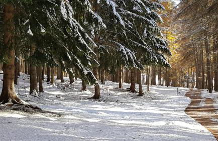 Mein Sonnenhof - Foto 38