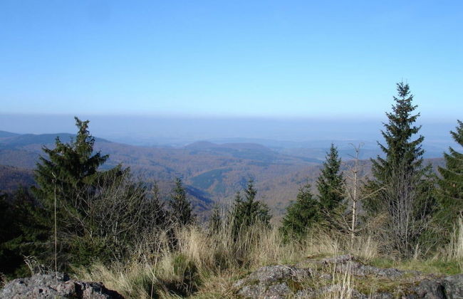 Holiday Home Chalet on the Castle Hill - Foto 29