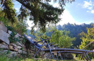 Weinberghaus - Wohnen im Weinberg in der Toskana des Nordens - Foto 20