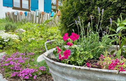 Ammervital - Apartments - Foto 25