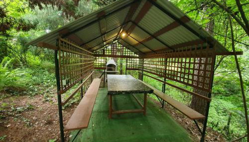 Leśny Zakątek - Foto 4