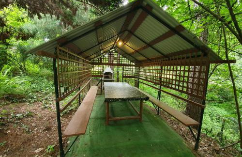 Leśny Zakątek - Foto 4